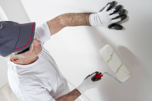 Professional Mold Removal in Tuscaloosa, AL