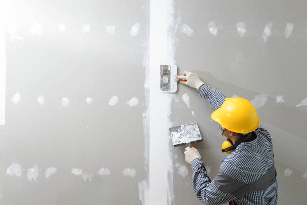 Best Emergency Mold Remediation  in Tuscoosa, AL